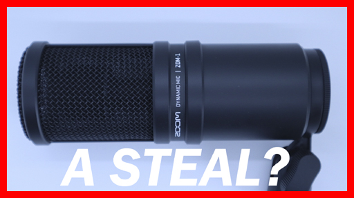 Zoom ZDM-1 Review